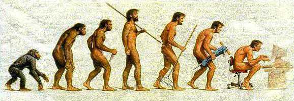 Evolution: Somewhere, something went terribly wrong.